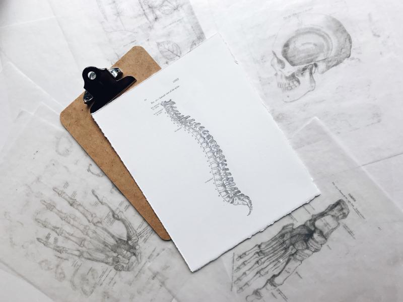 A clipboard with a pencil drawing of a human spine.